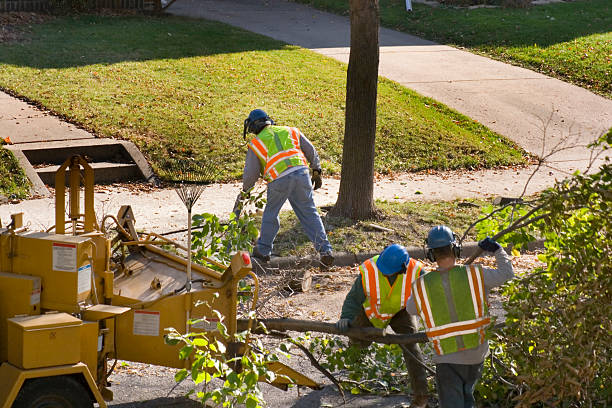 Soil Testing and Treatment in Wilson, NC