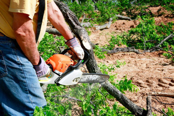 Leaf Removal in Wilson, NC